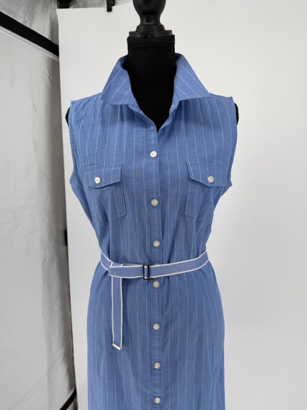 Ann Taylor Blue White Pinstripe Sleeveless Button Front Shirt Dress 12 - Picture 6 of 12